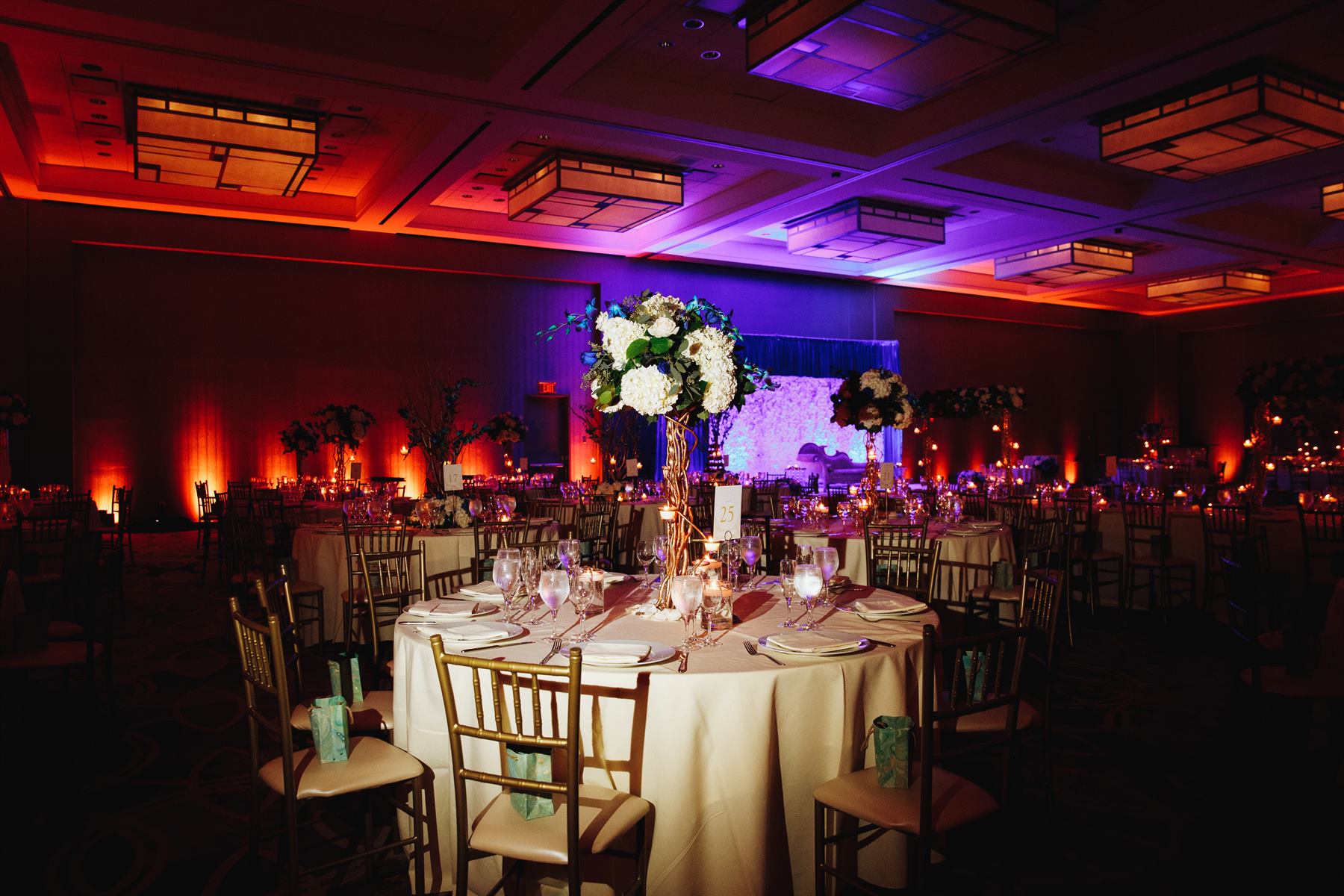 MIBI gala dinner and executive networking event